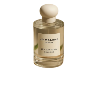 Wangi Perfume